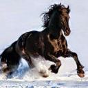 James Windle - @JamesWindle1 - Twitter