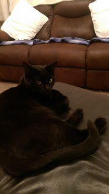 sorted_111's profile picture. 