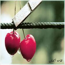 فتاة لا تتجاوز العشرين ..