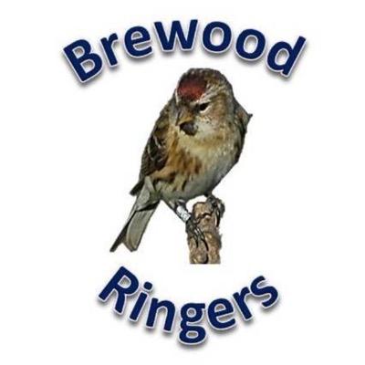 @Brewoodringers