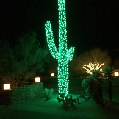 luddite123456's profile picture. 