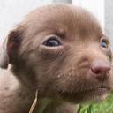 lilly duff - @kushkush521 - Twitter