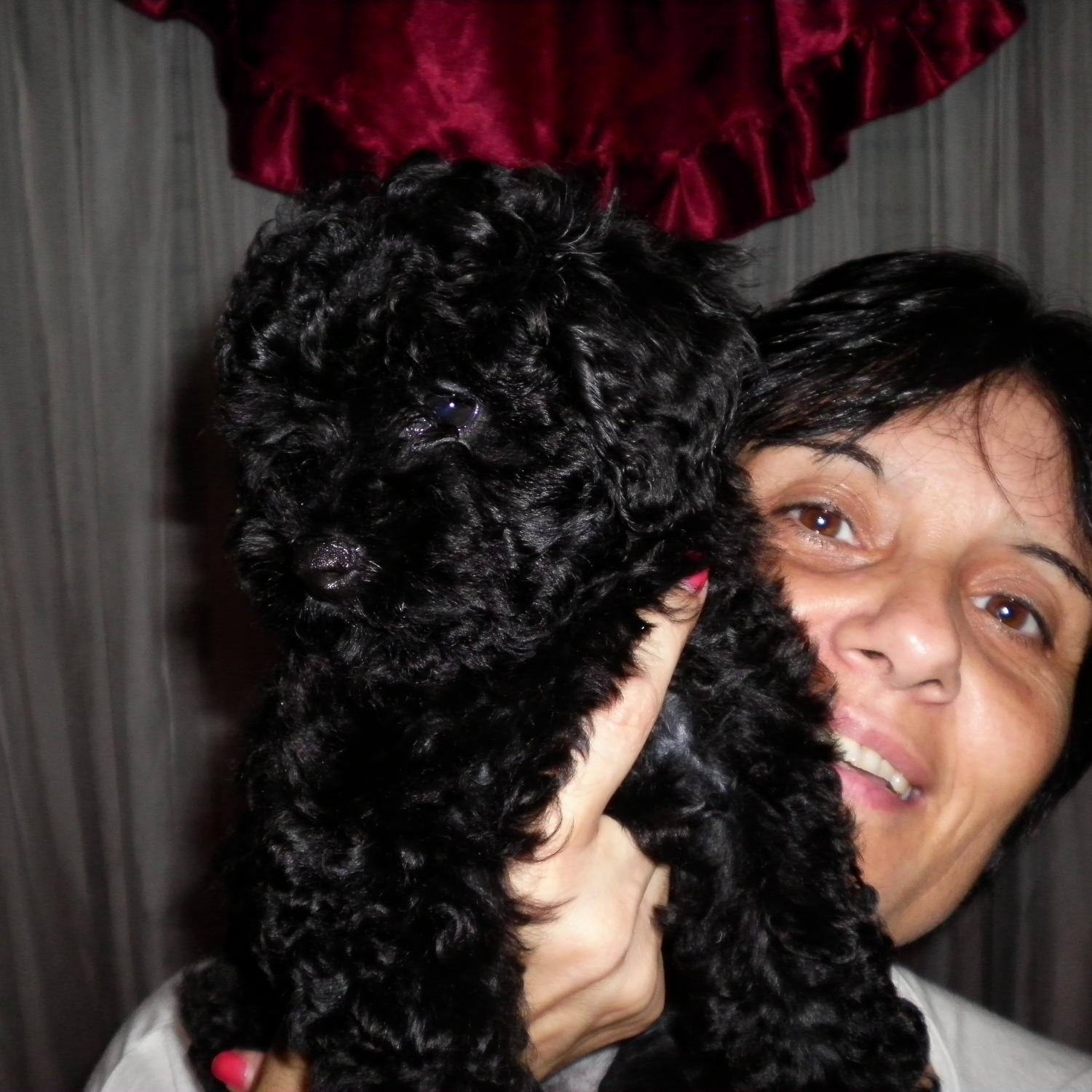 sergioadrianmol's profile picture. cada dia me subo al auto deseando subirme a mi MOTO