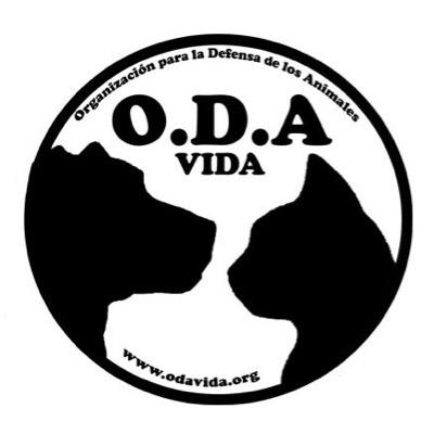 Organización para la Defensa de los Animales. Rescatamos animales abandonados y/o maltratados y les buscamos una segunda oportunidad. CONTACTO.ODAVIDA@GMAIL.COM