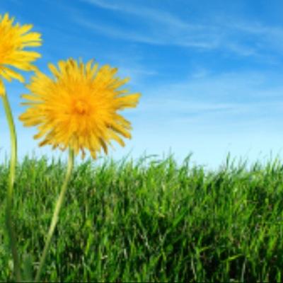 All aspects of garden maintenance, etc Call: 07507 040617 email: cheshiregardenservices@gmail.com
https://t.co/rpKQZ6jkcM