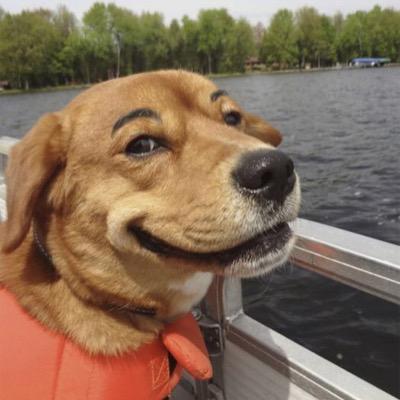 GsTwin's profile picture. 