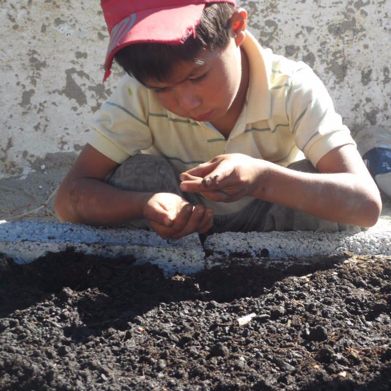 ReynaHColorado's profile picture. 