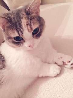 progresswako's profile picture. 