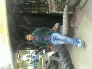 CSc1608's profile picture. 