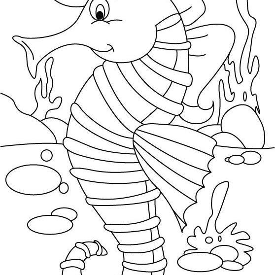 VotesFacebook's profile picture. 