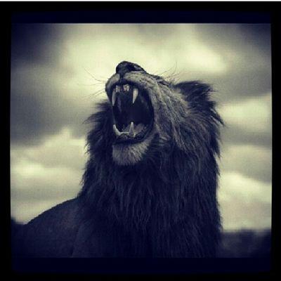 donlogan496's profile picture. no talking just action an power moves blessings thru God an motivation thru me #LoganEvents