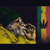 ITzRemixePVP (@asom609) 's Twitter Profile