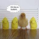 Jean Vitale - @andlucy2 - Twitter