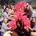 CTHS Cheer (@cthscheer) Twitter profile photo