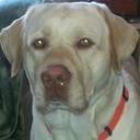 Gary Pawson, Jr. - @1651515dac08499 - Twitter