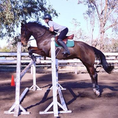 tarynspore55's profile picture. Insert pretentious crap about myself here.