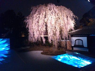 kns77_m's profile picture. 京都大好き/相互フォロー希望