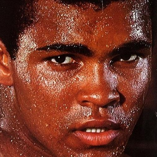 EBertrand63's profile picture. 