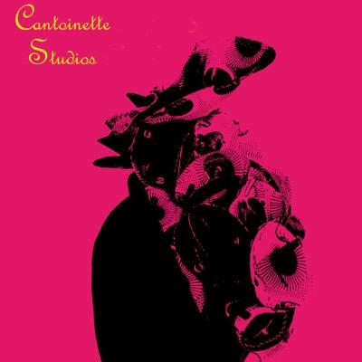 CantoinetteStud's profile picture. Sustainable Wearable Art: specializing in non-traditional headwear & contemporary jewerly & handbags.