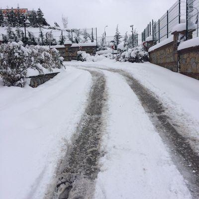 Duyarlı Vatansever önce Insan