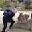 Jake_Imer's profile image
