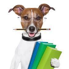 Teacher passionate about Pet Education!  Kids learn - teach their family/friends - animals win! Leverage education to help animals! I'm Kasey Brown.