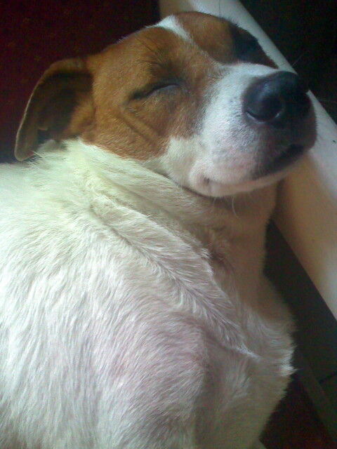 richiem's profile picture. Nothing is impossible.