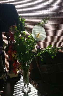 earley_k's profile picture. 