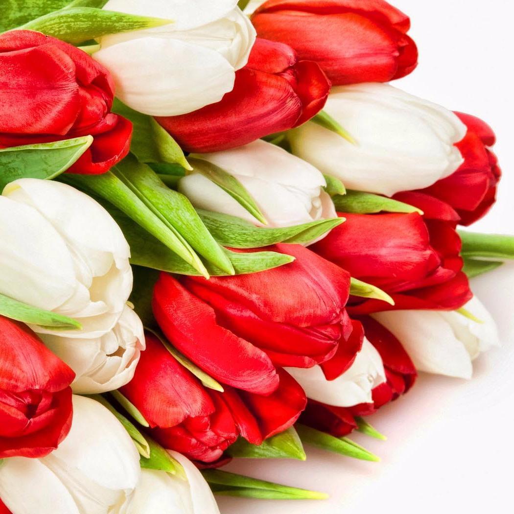 dianamalikova02's profile picture. 