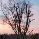 Rhonda Hardin - @rhardin108 - Twitter