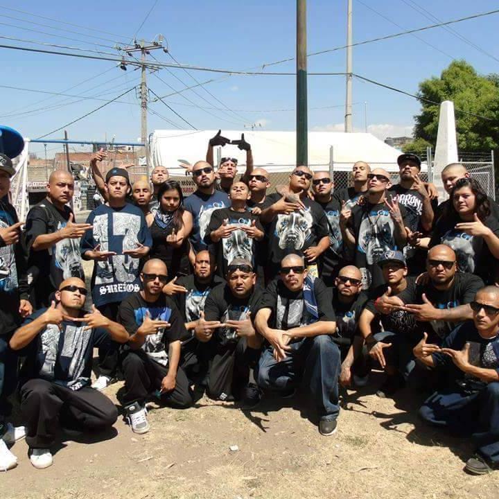 remik gonzalez remik gonz 225 lez 664gonzalez twitter remik gonzalez remik gonz 225 lez 664gonzalez twitter
