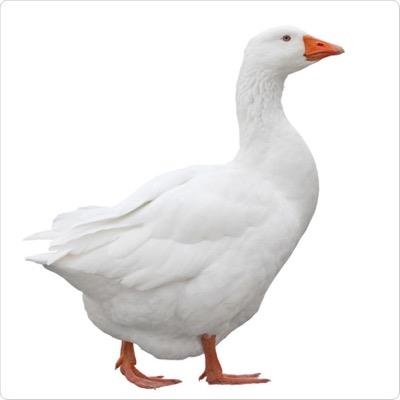 touchpointplan's profile picture. Integrate your employee- and customerjourney into one touchpointplan! Advice en Workshops