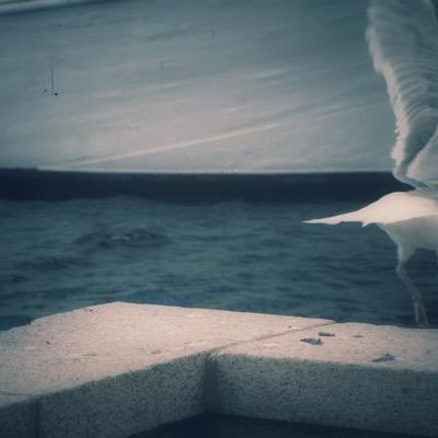 bralue's profile picture. #organisationsberatung und #personalentwicklung Dorit Hülse