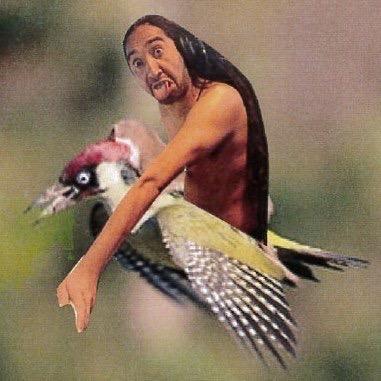 ToastStar's profile picture. yeah...nah...yeah.