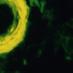 Amyloid Aggregation (@amyloid75) Twitter profile photo