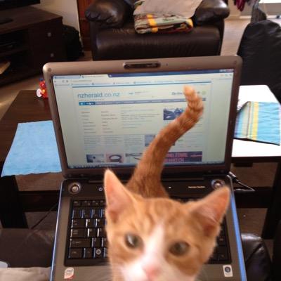 annahollander's profile picture. 