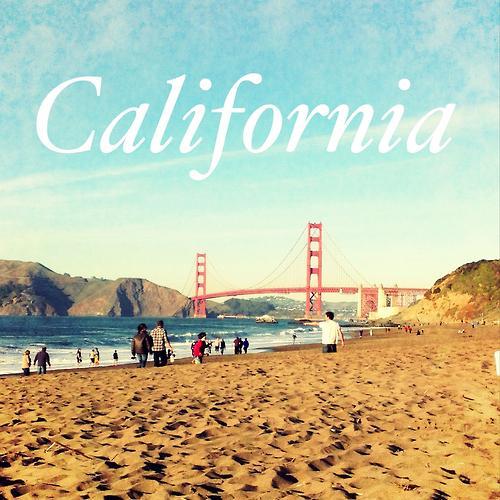 SupportCali's profile picture. 