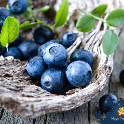 realityfan19's profile picture. 