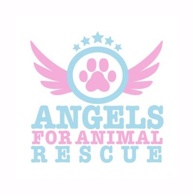 Angels for Animal Rescue nonprofit founded by @JoannaKrupa @GabiGutierrez22