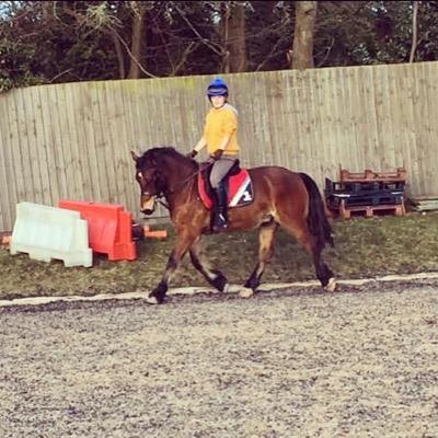 Pedalo93's profile picture. 