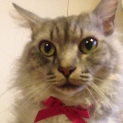 ぼーのぼーの