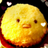 noa_michoco2