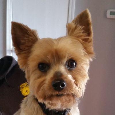 lisaluvah62's profile picture. 