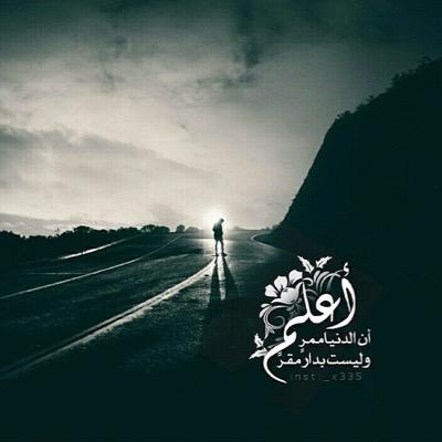 loord2211's profile picture. 