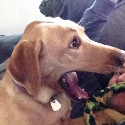 Mccoy2525's profile picture. 