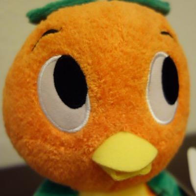 Showcase of Wishesさんのプロフィール画像