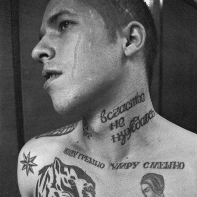 Markvartidze's profile picture. 