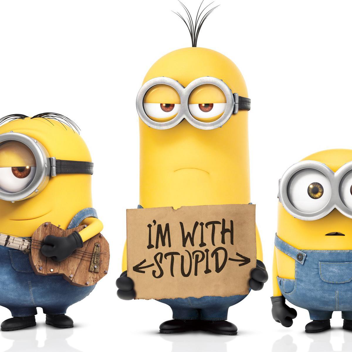 Memes De Minions