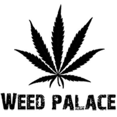 We got most strain of kush and canabis concentrates like Wax, Shatter and Dabs. ☎Call/text (954) 361-1485 Or DM us to place an order. **We Do Delivery**