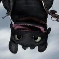 14 FA | EU Call of Duty player